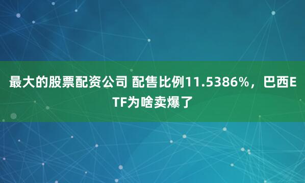 最大的股票配资公司 配售比例11.5386%,巴西ETF为啥卖爆了